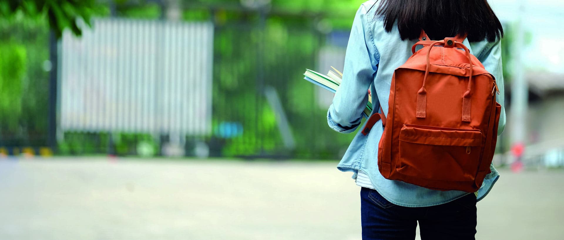 Tu próximo logro comienza con Educam@s Academia